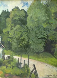 Strada nella foresta